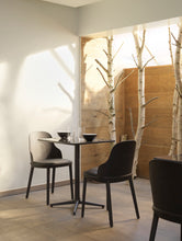 Load image into Gallery viewer, Allez Dining Chair  -  PP Upholstered in Canvas