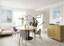 Load image into Gallery viewer, Rib Cabinet