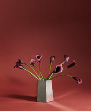 Load image into Gallery viewer, Hexa Vase