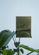 Load image into Gallery viewer, Naturaleza 02 by Ain Raadik