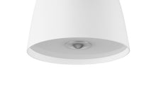 Load image into Gallery viewer, Tub Pendant Light