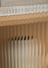 Load image into Gallery viewer, Curiosity Cabinet