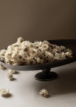 Load image into Gallery viewer, Pavot Centerpiece by Colin King