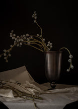 Load image into Gallery viewer, Pavot Vase by Colin King