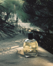 Load image into Gallery viewer, Hakudo-rain Botanical Airmist