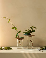 Load image into Gallery viewer, Cresco Propagation Vases, Set of 2