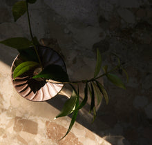 Load image into Gallery viewer, Cresco Propagation Vases, Set of 2