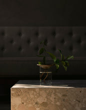 Load image into Gallery viewer, Cresco Propagation Vases, Set of 2