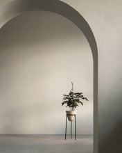 Load image into Gallery viewer, Daiza Planter