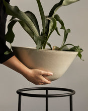 Load image into Gallery viewer, Daiza Planter