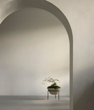 Load image into Gallery viewer, Daiza Planter