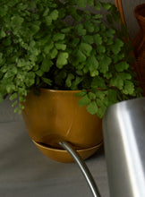 Load image into Gallery viewer, Hydrous Planter