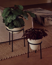 Load image into Gallery viewer, Daiza Planter
