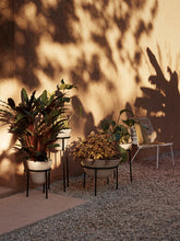 Load image into Gallery viewer, Daiza Planter