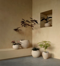 Load image into Gallery viewer, Plantas Planter