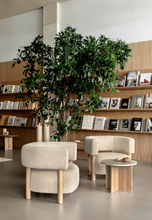 Load image into Gallery viewer, N-S03 Armchair
