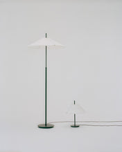 Load image into Gallery viewer, Nebra Floor Lamp