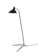 Load image into Gallery viewer, Lightsome - Floor lamp