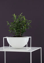 Load image into Gallery viewer, Kubus Centrepiece Bowl - Large