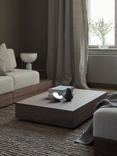 Load image into Gallery viewer, Mass Coffee Table