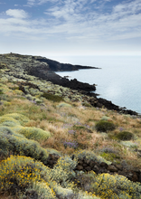 Load image into Gallery viewer, Slow Escapes - Rural Retreats for Conscious Travelers