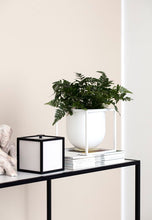 Load image into Gallery viewer, Kubus Flowerpot - 14