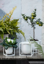 Load image into Gallery viewer, Kubus Flowerpot - 23
