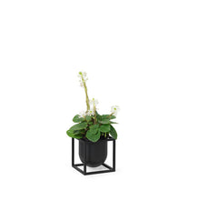 Load image into Gallery viewer, Kubus Flowerpot - 10