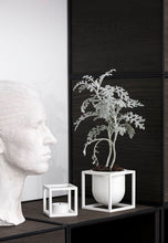 Load image into Gallery viewer, Kubus Flowerpot - 10