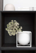 Load image into Gallery viewer, Kubus Flowerpot - 14