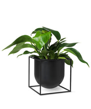 Load image into Gallery viewer, Kubus Flowerpot - 23
