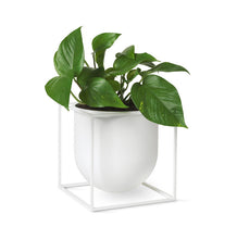 Load image into Gallery viewer, Kubus Flowerpot - 23