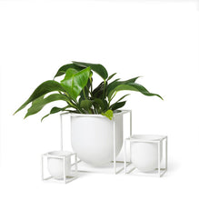 Load image into Gallery viewer, Kubus Flowerpot - 10