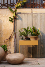 Load image into Gallery viewer, Plant Box
