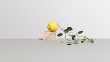 Load image into Gallery viewer, Eucalyptus - Lemon Salt Soap Set Natural Square
