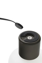 Load image into Gallery viewer, Karl Johan Portable Lamp
