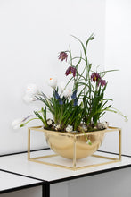 Load image into Gallery viewer, Kubus Centrepiece Bowl - Large
