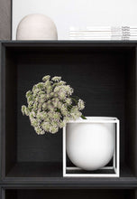Load image into Gallery viewer, Kubus Flowerpot - 14
